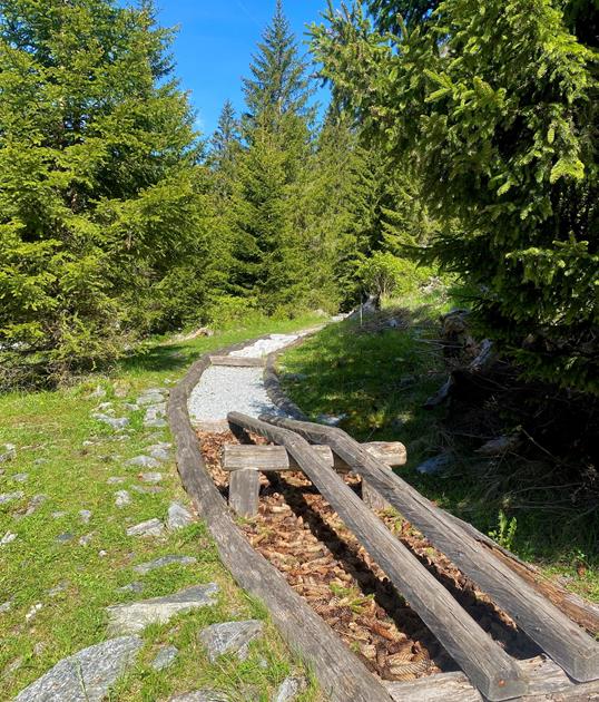 barfussweg-innerratschings-larch-julia-48