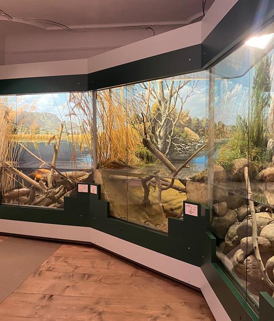 20-landesmuseum-jagd-fischerei-schloss-wolfshturn-julia-larch
