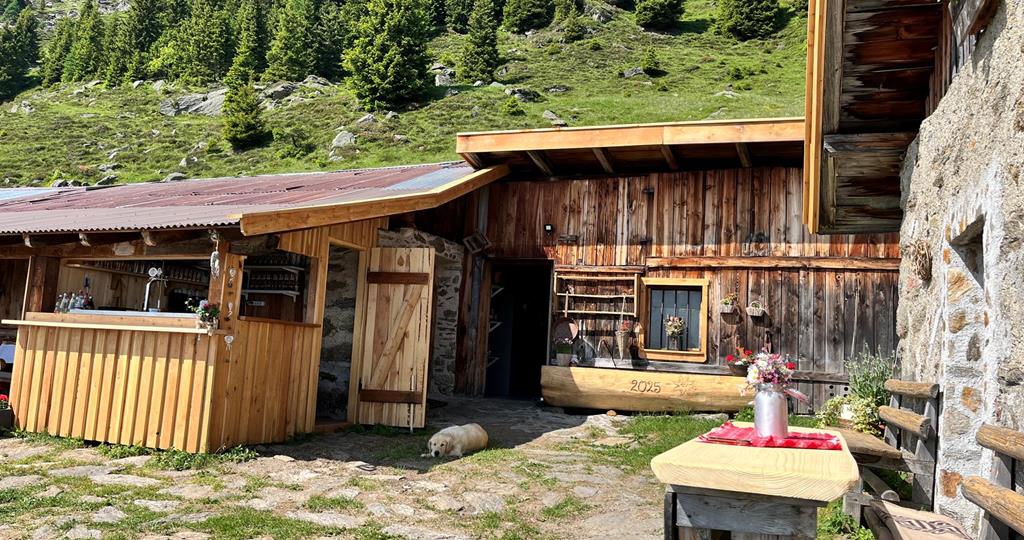 Malga Ochsenalm