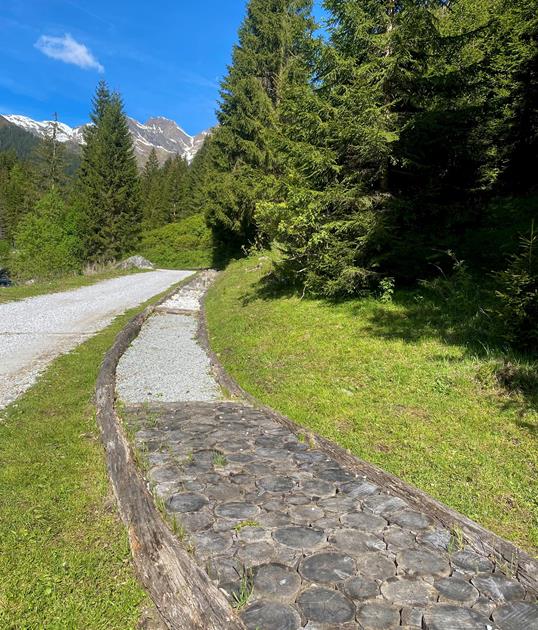 barfussweg-innerratschings-larch-julia-45