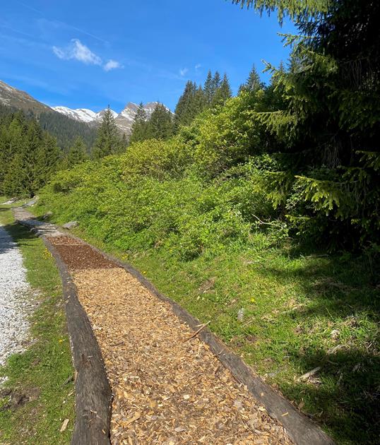 barfussweg-innerratschings-larch-julia-47