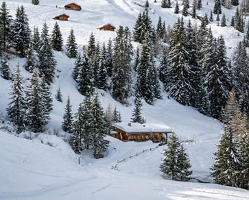 09-untere-gewingesalm-winter-guus-reinartz-komprimiert